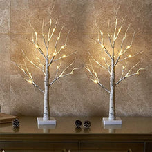 Load image into Gallery viewer, EAMBRITE Lighted Birch Tree for Home Decor, Set of 2 Money Tree Indoor, Battery Operated Tabletop Mini Artificial Tree with Lights for Christmas Centerpiece Mantel Summer Decorations (2FT/Warm White)