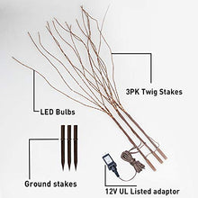 Load image into Gallery viewer, EAMBRITE 120LT Lighted Brown Twig Branches with 33IN LED Willow Tree Plug in for Holiday Party Wedding Spring Indoor and Outdoor Decoration (Vase Excluded)
