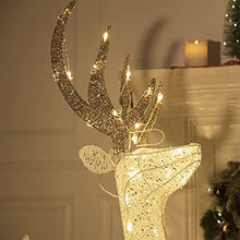 Load image into Gallery viewer, EAMBRITE Christmas Reindeer Light up Deer Deocrations Mains Powered LED Twinkling Reindeer for Home and Garden - Large 1.2m, Warm White