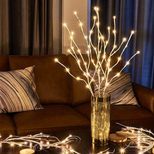 Load image into Gallery viewer, EAMBRITE Pre Lit White Birch Twig Branch Lights 30IN 60LT Plug in Lighted Willow Branch for Home Holiday Party Wedding Spring Decoration Indoor and Outdoor Use (Vase Excluded)