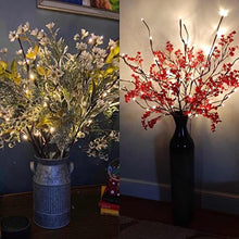 Load image into Gallery viewer, Eambrite 3er Set Lichterbaum Aussen Innen 60LEDs wasserdichte Lichterzweige 76CM Warmweißes Zweiglicht Braun mit Netzstrom Betriebene LED Lampe Zweige Dekoration für Weihnachten Ostern Deko Halloween