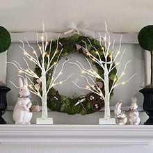 Load image into Gallery viewer, Set of 2-Vanthylit White Christmas Tree with Lights 2FT Tabletop Birch Tree with 24 Warm White LEDs Battery Operated Light up Twig Tree for Home Party Wedding Easter Christmas Decoration