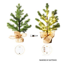 Load image into Gallery viewer, EAMBRITE LED Pine Needle Tree Light – 1.5FT Realistic Mini Christmas Tree – Pre-lit Pine Needle Tree with 36lt Warm White Fairy Lights – Lighted Artificial Tree with 12 Branches