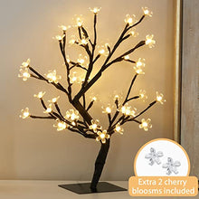 Load image into Gallery viewer, PEIDUO 17.5” Lighted Cherry Blossom Tree 48 Warm White Lights Plug in Adapter Light up Bonsai Tree for Christmas Indoor Home Bedroom Office Living Room Tabletop Tree Night Light Artificial Plants