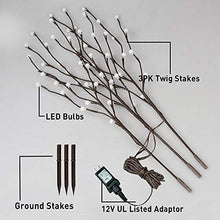 Load image into Gallery viewer, EAMBRITE Lighted Frosted Ball Twig Branches 30IN 60LT Lighted Willow Branch with Warm White LED Plug in for Home Party Wedding Holiday Decoration Indoor Outdoor Use(Vase Excluded)