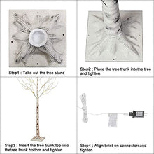 Load image into Gallery viewer, PABIPABI (Pack of 2) White Birch Tree with Lights Set 5FT 6FT Christmas Tree Lights Combo Kit Perfect for Indoor Outdoor Home Decor Holiday Party Wedding Thanksgiving & Christmas Decorations