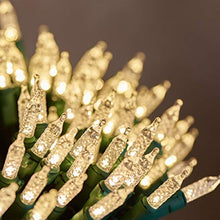 Load image into Gallery viewer, EAMBRITE 100LT Mini Christmas String Lights120V UL Certified for Patio Christmas Tree Garden Yard Indoor and Outdoor, Green Wire