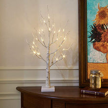 Load image into Gallery viewer, EAMBRITE White Christmas Tree with Lights Mini Birch Twig Tree Ornament with 24 Warm White LEDs Battery Operated Tabletop Decoration for Christmas Home Party Wedding (60cm/2ft)