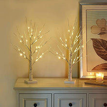 Load image into Gallery viewer, Eambrite Set of 2 Small Birch Twig Tree Lights Photo Display Tree with 24 Warm White LEDs Battery Operated Tabletop Decoration for Xmas Home Party Wedding (60cm/2ft)