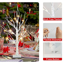 Load image into Gallery viewer, PEIDUO Set of 2 Interactive Lighted Birch Tree 2Ft Tabletop Birch Christmas Tree with Lights 24 Warm White LED Birch Tree Branches for Home Room Party Festival Wedding Christmas Decorations