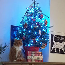 Load image into Gallery viewer, Eambrite Colour Changing Fairy Lights with 8 Lighting Modes 100 LEDs RGB String Lights USB Wire Light Waterproof for Bedroom Wedding Party (32FT/10m, Multi-Coloured)