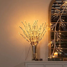 Load image into Gallery viewer, Vanthylit Lighted Twig Willow Branches with Dimmer 30” Brown Branches with 60LT Warm White Light for Home Holiday Christmas Decoration Indoor and Outdoor Use