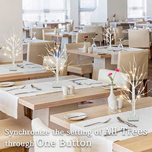 Load image into Gallery viewer, PEIDUO Set of 2 Interactive Lighted Birch Tree 2Ft Tabletop Birch Christmas Tree with Lights 24 Warm White LED Birch Tree Branches for Home Room Party Festival Wedding Christmas Decorations
