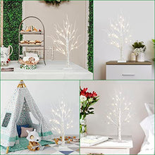Load image into Gallery viewer, PABIPABI 4 Packs Lighted Birch Tree 24 LED 24'' Christmas Tree Small Bonsai Tree Artificial Tree Lights Battery Powered Timer Warm White Mini Table Top Tree for Home Office Wedding Decor