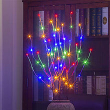 Load image into Gallery viewer, PEIDUO Electric Lighted Willow Branch Plug 30Inch 3PK 60L LED Pathway Lights for Christmas Room Decoration Indoor Apartment Outdoor Stake Lights for Lawn