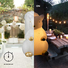 Load image into Gallery viewer, Set von 2,EAMBRITE Tierisches Echtwachskerzenlicht Batteriebetriebene flammenlose LED-Kerzen mit Zeitschaltuhr Dekorative Fox- und Eichhörnchenwachs-Lichter für Hause Hochzeit Weihnachten