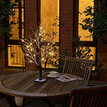 Load image into Gallery viewer, EAMBRITE Battery-Operated 24" Snow Bonsai Tree Lights with 24 Warm White LED for Indoor use Tabletop Tree Light for Home Decor