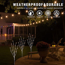 Load image into Gallery viewer, EAMBRITE Pre Lit White Birch Twig Branch Lights 30IN 60LT Plug in Lighted Willow Branch for Home Holiday Party Wedding Spring Decoration Indoor and Outdoor Use (Vase Excluded)