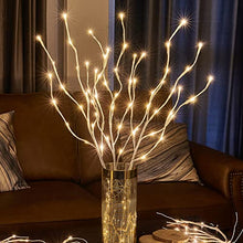 Load image into Gallery viewer, EAMBRITE Lighted White Branches 30IN 60 LED, Natural Decorative Willow Branches Twig Lights Plug in for Vases, Tree Lamp for Home Party Wedding Holiday Indoor Outdoor Room Decoration