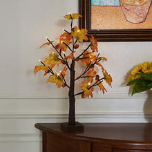Load image into Gallery viewer, EAMBRITE 60cm Leuchtbaum Innen Ahorn Lichtlampe Schreibtischbaum Dekorativ 24 LED Lichterbaum Warm Weiss Weihnachten Dekobaum fĂŒr Zuhause, Party, Geburtstag, Hochzeit