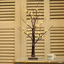 Load image into Gallery viewer, PEIDUO 2FT Snow Dusted Tree Lights with 24LT Warm White LED Battery Operated Bonsai Tree for Home Office Daily Christmas Halloween Indoor Decorations