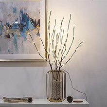 Load image into Gallery viewer, EAMBRITE 3PK 30" Brown Lighted Twig Branches Pathway Light 60 LED Warm White Bulbs for Outdoor and Indoor