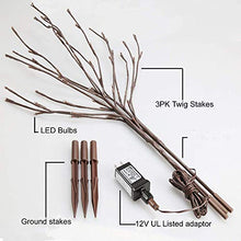 Load image into Gallery viewer, EAMBRITE 3PK 30" Brown Lighted Twig Branches Pathway Light 60 LED Warm White Bulbs for Outdoor and Indoor