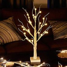 Load image into Gallery viewer, EAMBRITE White Birch Tree 24IN 24LT Lighted Frosted Ball Twig Tree with Timer for Home Wedding Holiday Birthday Party Decoration Indoor Use