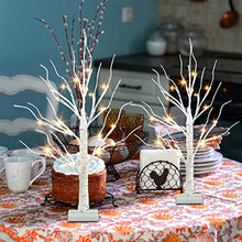 Load image into Gallery viewer, PABIPABI 4 Packs Lighted Birch Tree 24 LED 24'' Christmas Tree Small Bonsai Tree Artificial Tree Lights Battery Powered Timer Warm White Mini Table Top Tree for Home Office Wedding Decor