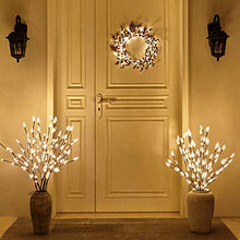 Load image into Gallery viewer, EAMBRITE Brown Twig Branches with Acrylic Leaves 30IN 60LT Outdoor Garden Stake Lights with Warm White LED Plug in for Walkway Patio Yard Garden Lawn Decoration Indoor and Outdoor Use (Vase Excluded)