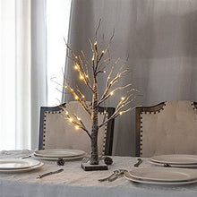 Load image into Gallery viewer, Eambrite Battery-Operated Snowy Twig Tree Lights with 24 Warm White LEDs Tabletop Christmas Tree Decor for Indoor use (60cm/2ft)