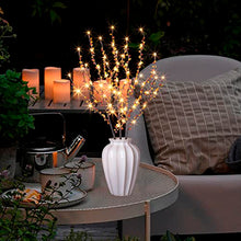 Load image into Gallery viewer, Vanthylit Lighted Branches with 3PK 60LED Twig Lights Plug in for Home Decoration, Light up Willow Branch Lights for Vases