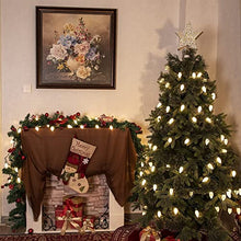 Load image into Gallery viewer, DELICHTER LED Lichterkette, 100 LEDs Weihnachtsbaumbeleuchtung mit 8 Modi,Strombetrieb für innen, außen,Party Wohnung,Tannenbaum(Warm Weiß)