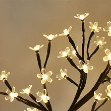 Load image into Gallery viewer, PEIDUO 17.5” Lighted Cherry Blossom Tree 48 Warm White Lights Plug in Adapter Light up Bonsai Tree for Christmas Indoor Home Bedroom Office Living Room Tabletop Tree Night Light Artificial Plants