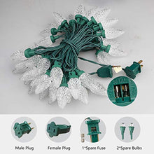 Load image into Gallery viewer, EAMBRITE 50LT C9 Christmas String Lights120V UL Certified for Patio Christmas Tree Garden Yard Indoor and Outdoor, Green Wire