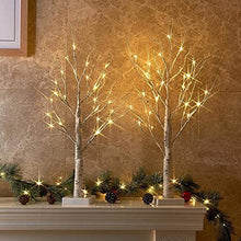 Load image into Gallery viewer, Eambrite Set of 2 Small Birch Twig Tree Lights Photo Display Tree with 24 Warm White LEDs Battery Operated Tabletop Decoration for Xmas Home Party Wedding (60cm/2ft)