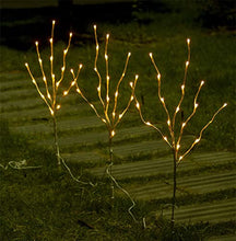 Load image into Gallery viewer, Vanthylit 3PK 30'' Lighted Pathway Light White Willow Twig Branches with 60 LED Warm White Waterproof Plug in for Outdoor and Indoor Decor