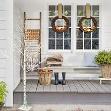 Load image into Gallery viewer, EAMBRITE 6FT 88LT Warm White LED Winter Artificial Birch Wedding Christmas Home Decorative Tree Light for Indoor and Outdoor Use