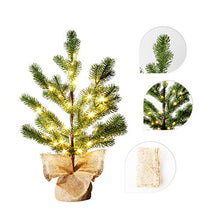 Load image into Gallery viewer, EAMBRITE LED Pine Needle Tree Light – 1.5FT Realistic Mini Christmas Tree – Pre-lit Pine Needle Tree with 36lt Warm White Fairy Lights – Lighted Artificial Tree with 12 Branches
