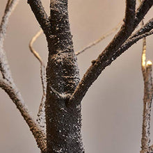 Load image into Gallery viewer, Eambrite Battery-Operated Snowy Twig Tree Lights with 24 Warm White LEDs Tabletop Christmas Tree Decor for Indoor use (60cm/2ft)