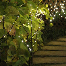 Load image into Gallery viewer, EAMBRITE 3PK 30" Brown Lighted Twig Branches Pathway Light 60 LED Warm White Bulbs for Outdoor and Indoor
