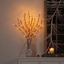 Load image into Gallery viewer, Vanthylit Lighted 76cm 3PK Decorative Twigs Branches Pathway Lights with 60LED Beads Branch Lights Waterproof Mains Powered Twig Lights for Indoor Outdoor Christmas Decoration