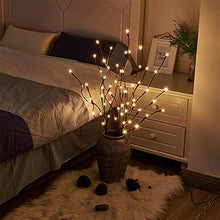 Load image into Gallery viewer, PEIDUO Lighted Willow Branch 30Inch 3PK 60L LED Pathway Lights for Home Decoration Indoor Apartment Outdoor Stake Lights for Lawn