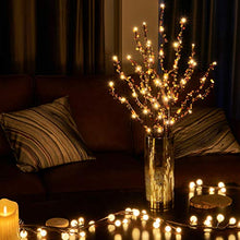 Load image into Gallery viewer, EAMBRITE Natural Twig Branches with Amber Beads 30IN 60LT Lighted Willow Branch Plug in for Home Party Wedding Holiday Decoration Indoor Outdoor Use(Vase Excluded)