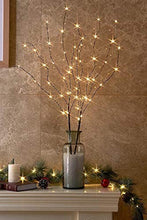 Load image into Gallery viewer, EAMBRITE 2PK 75cm Christmas Decorative Twig Lights Snow Frosted Garden Stake Lights with 50 Warm White LEDs Battery Powered Lighted Branches for Indoor and Outdoor Use