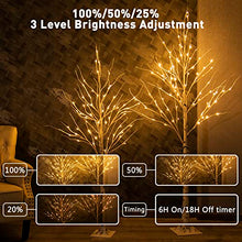 Load image into Gallery viewer, Vanthylit Pre-lit Birch Tree Light with Warm White Light up Tree for Home Party Wedding Holiday Christmas Decorations Indoor Outdoor Lighted Trees-2 Pack 5FT 6FT (Timer)