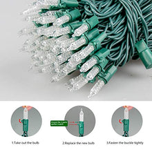 Load image into Gallery viewer, EAMBRITE 100LT Mini Christmas String Lights120V UL Certified for Patio Christmas Tree Garden Yard Indoor and Outdoor, Green Wire