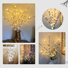 Load image into Gallery viewer, PEIDUO Lighted Willow Branch 30Inch 3PK 60L LED Pathway Lights for Home Decoration Indoor Apartment Outdoor Stake Lights for Lawn