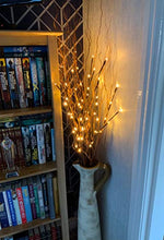 Load image into Gallery viewer, EAMBRITE 3PK 76cm Home Decorative Twig Lights Garden Stake Branch Lights with 60 Warm White LEDs Mains Powered Lighted Branches for Spring Decor Outdoor and Indoor