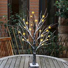 Load image into Gallery viewer, PEIDUO 2FT Snow Dusted Tree Lights with 24LT Warm White LED Battery Operated Bonsai Tree for Home Office Daily Christmas Halloween Indoor Decorations